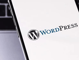 WordPress shares Core Web vitals in 2023 and impact on the Web