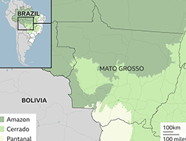 beef-trade-risks-key-brazil-ecosystem
